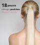 18 Pouces - Rallonges Postiches Queue de Cheval Cheveux Humains Naturels