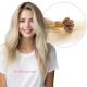 Blond Cendré Ombré Rallonges Kératines (Fusion) - Cheveux Humains Naturels
