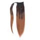 Brun Noisette Ombré Postiche (Ponytail Queue de Cheval) - Cheveux Humains Naturels 