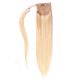 Blond Pâle Ombré Postiche (Ponytail Queue de Cheval) - Cheveux Humains Naturels