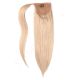 Blond Cendré Postiche (Ponytail Queue de Cheval) - Cheveux Humains Naturels 